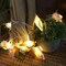 Ocean Real Conch 10 LED String Lights 9.0Ft Waterproof Battery Operated Warm White with Timer for Beach Themed Indoor Covered Outdoor Birthday Wedding Parties Decoration